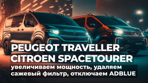 Удаление сажевого фильтра и отключение AdBlue на Citroen SpaceTourer и Peugeot Traveller