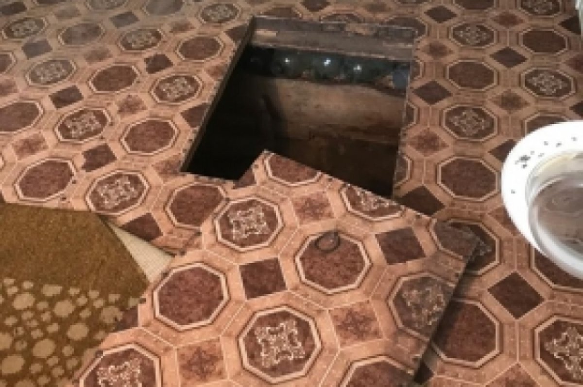    В погребе дома в Алтайском крае обнаружили труп