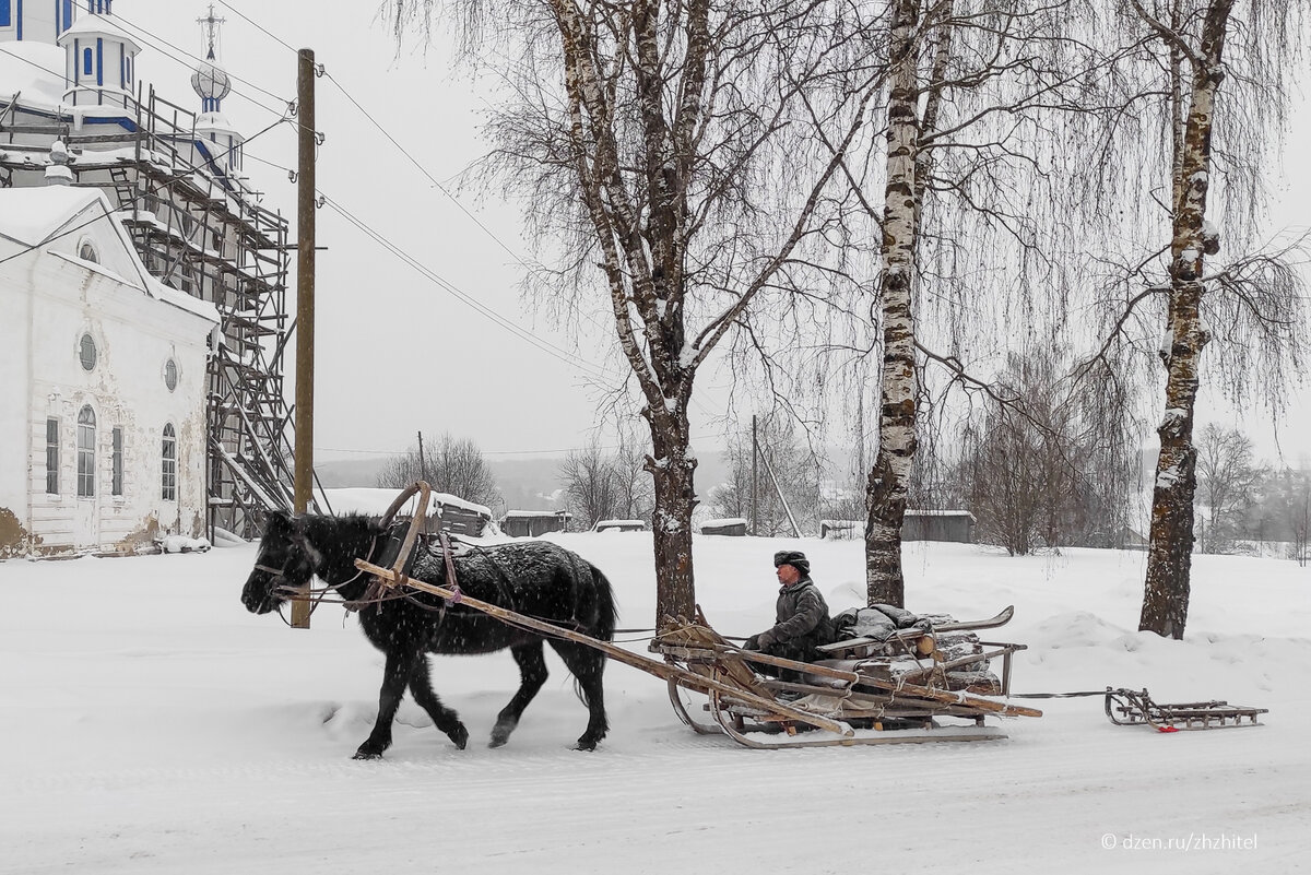 Везет лошадка дровенки, а в дровнях старичок. Пежма, Архангельская область. Фото автора