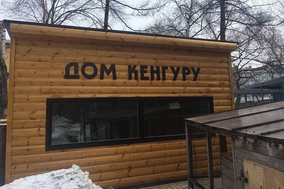     Домик кенгуру Фото: зооцентр «Питон»