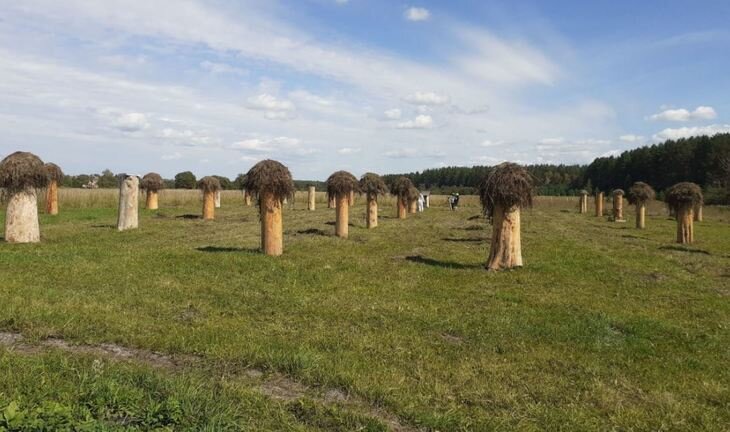    Преумножение популяции башкирской пчелы с господдержкой