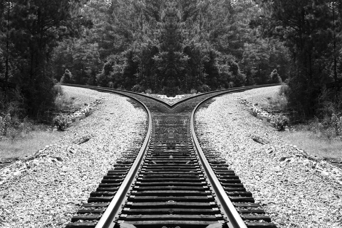 Фото: Michelle Holliday