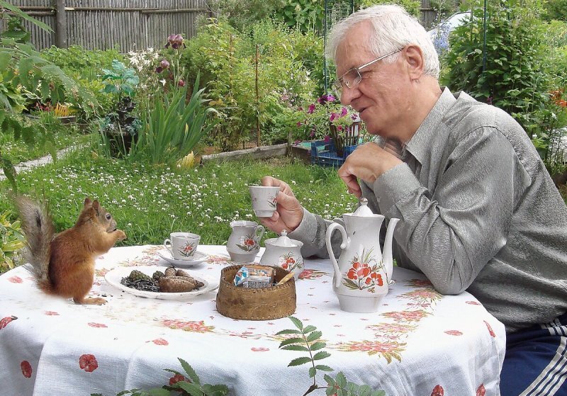 Просторы Интернета