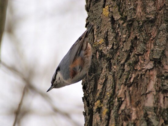     Фото: Надежда Медведева