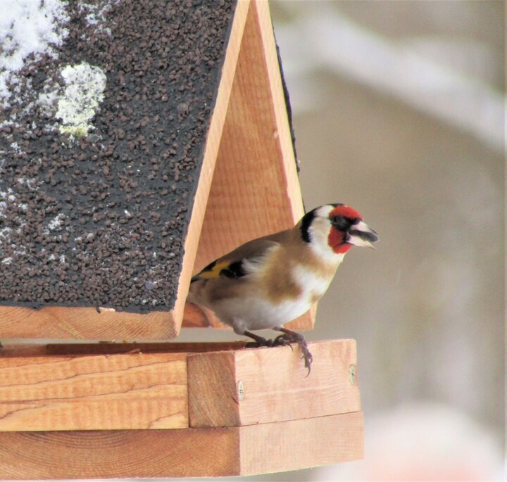     Фото: Надежда Медведева