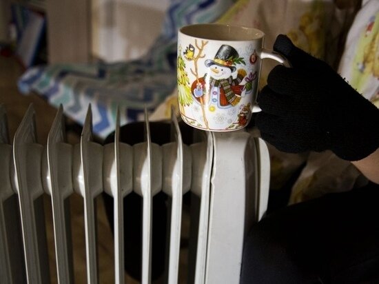     Фото: Густаво Зырянов / Сиб.фм