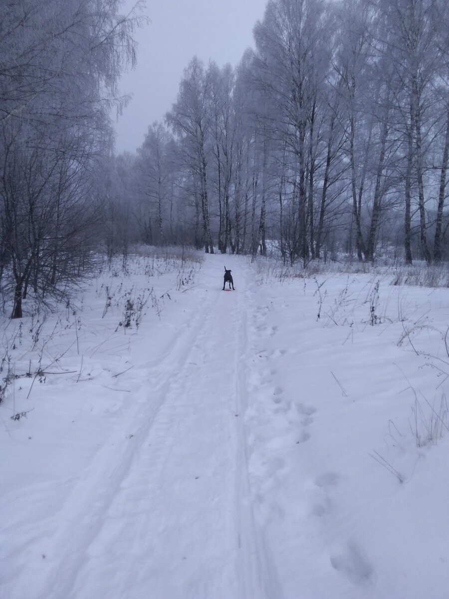 Фото автора. 