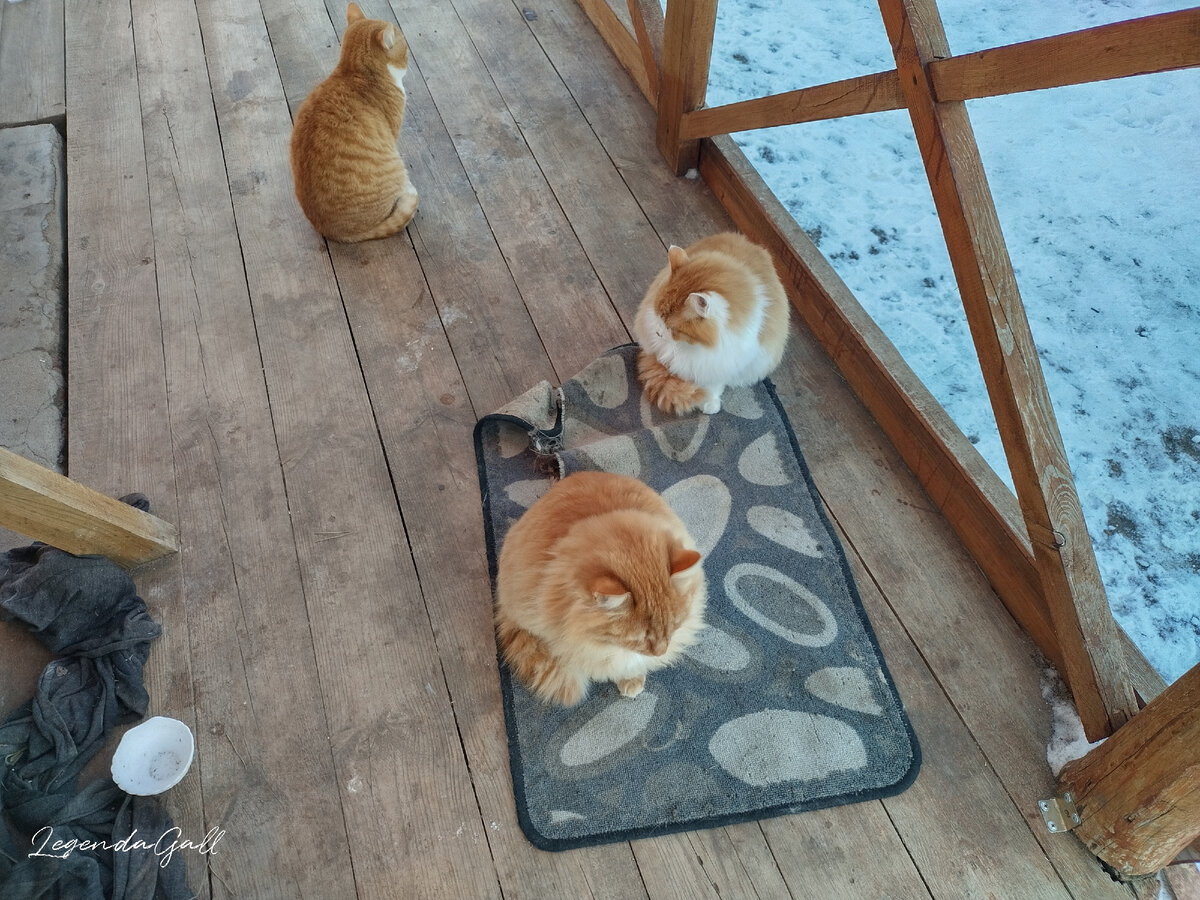 Рыся решила отдельно, типа я не с ними