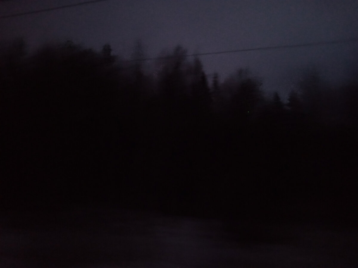 Фото из окна поезда. "Медвежьи леса", как я их называю.