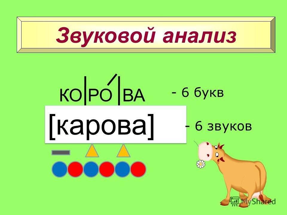 Корова схема цветная