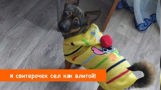 Победители 