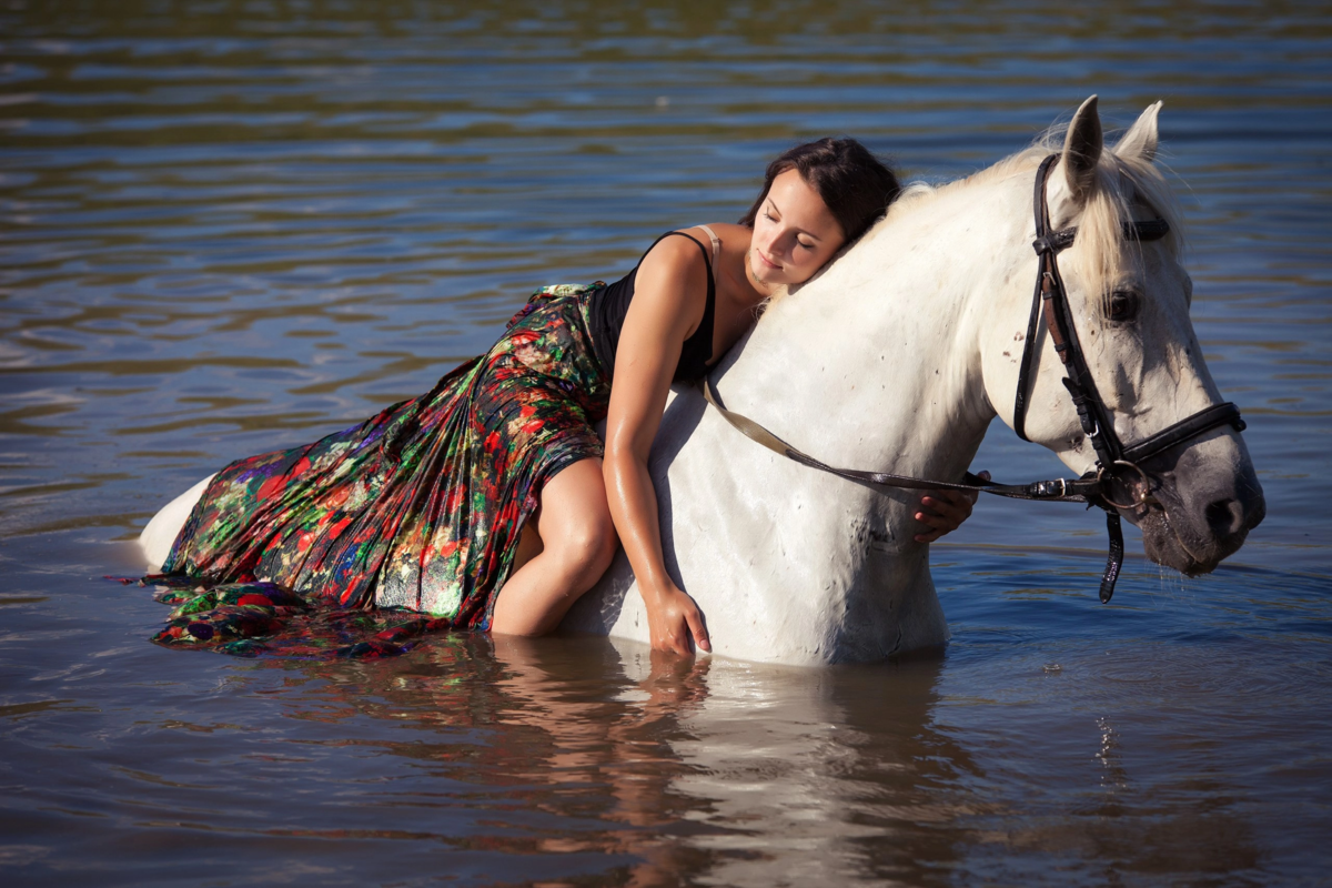 Беременна ли лошадь. Лошадь плавает. Лошадь плывет. Плывущие лошади в Москве. Умеют ли лошади плавать.