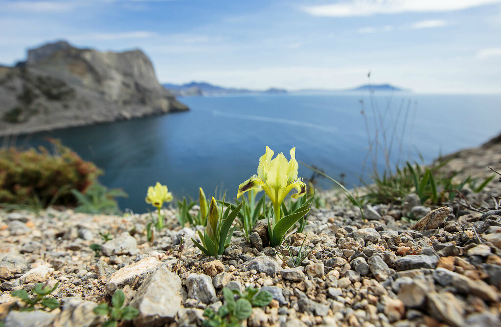 Ай петри. Тропа