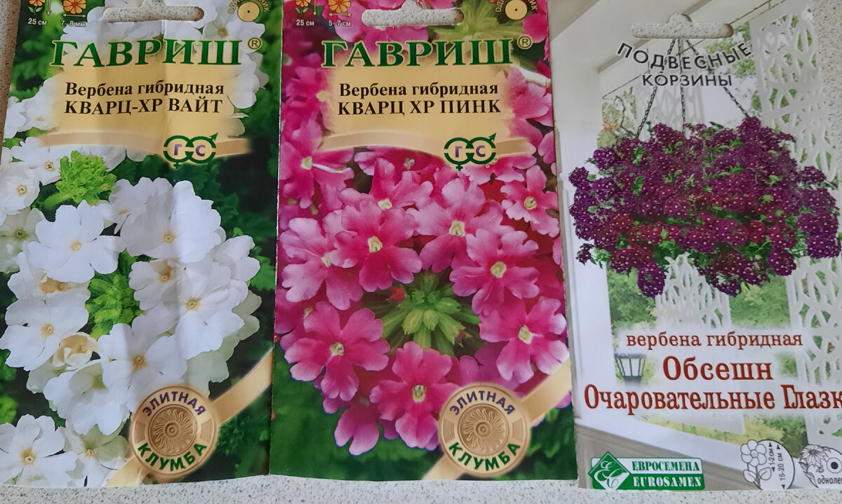 Семена вербены.