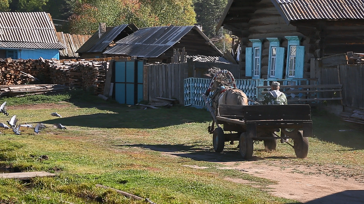 Село Уро: есть такое ремесло – лошадей объезжать. Будни сибирской глубинки.  | Ирбисфильм | Дзен