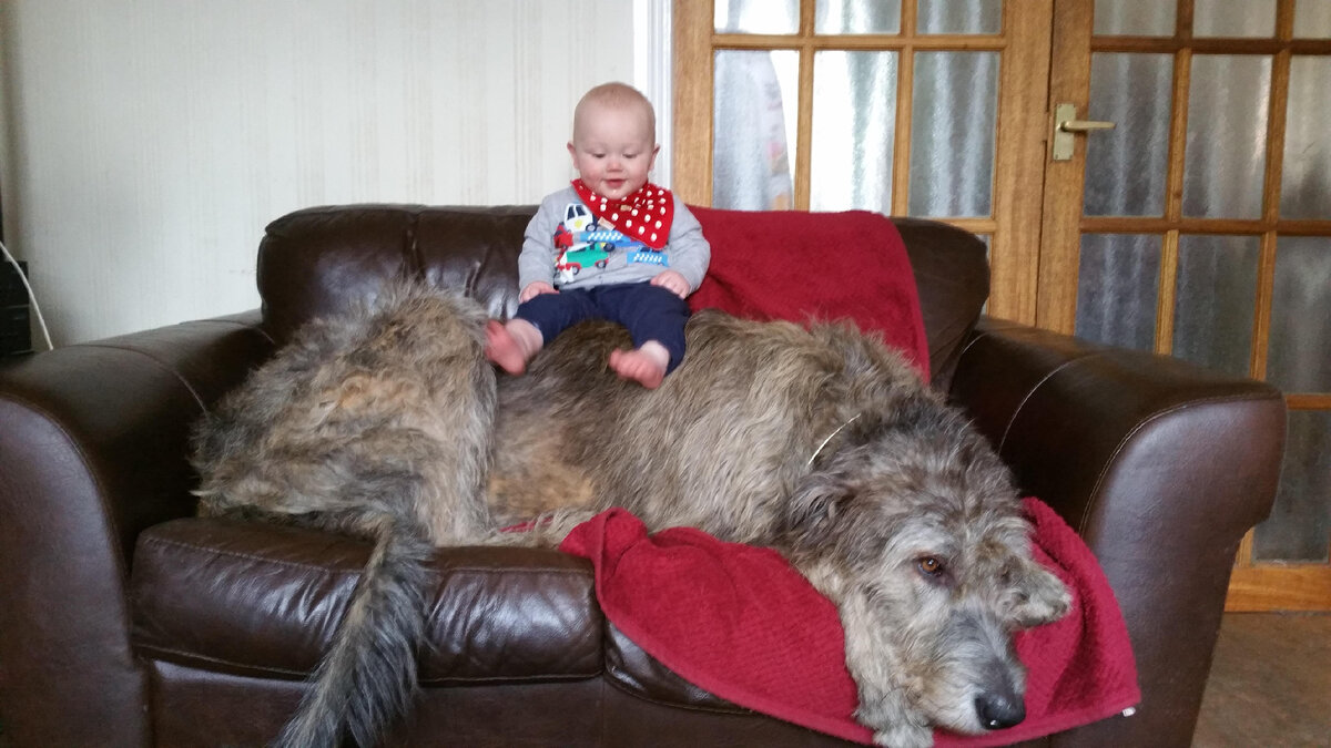 фото из открытого источника