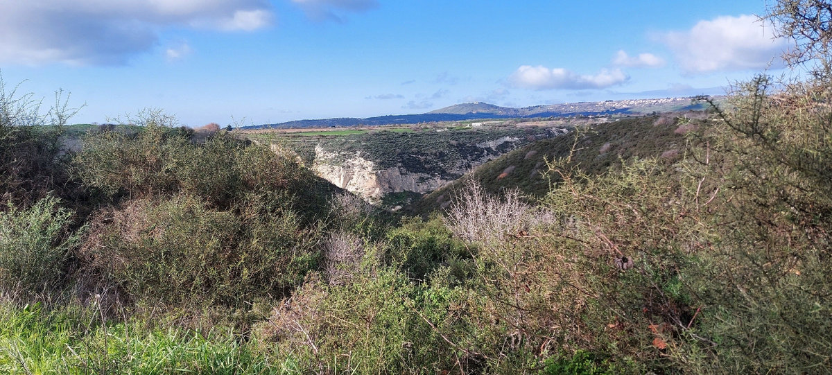 Любуюсь природой и понимаю, что только она помогает пережить весь этот абсурд, в глобальном смысле - мир сошёл с ума. А на фоне Вселенной мы так, глупые мелкие создания, которые возомнили себя властителями
