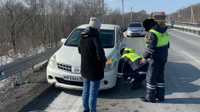     Во время патрулирования сотрудники ГИБДД Приморского края увидели на трассе испуганную девушку, которая находилась около поврежденной машины. Правоохранители остановились и выяснили причину инцидента.