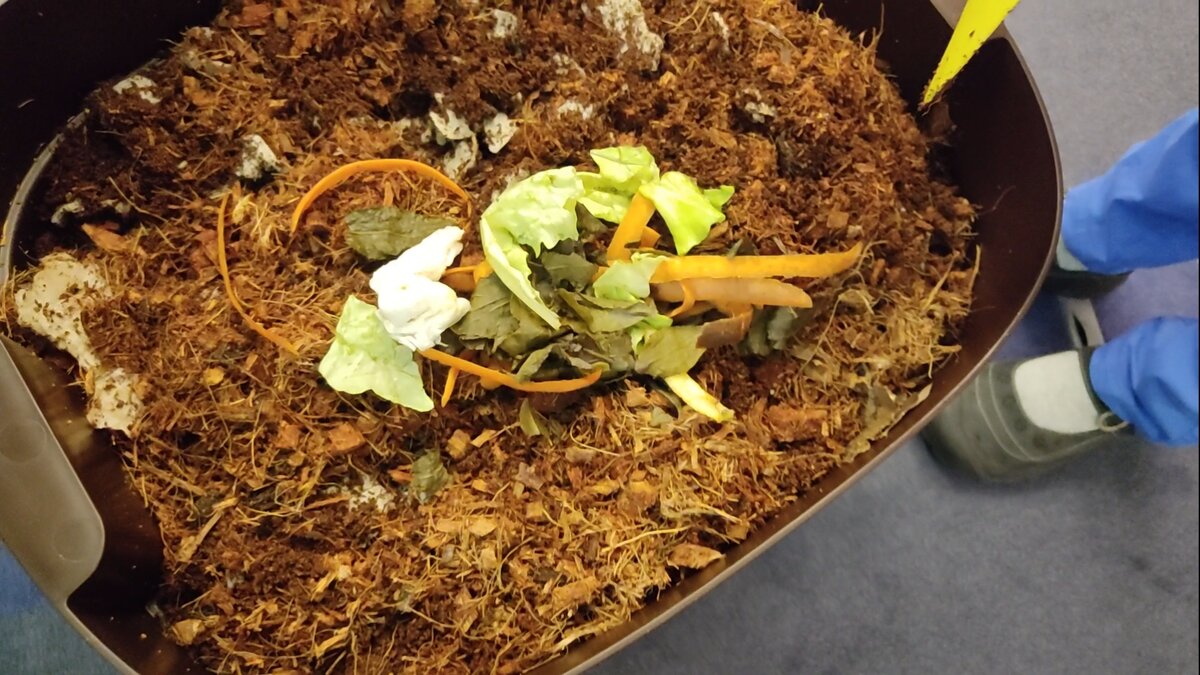 Компостер, внутри живут черви, перерабатывают пищевые отходы