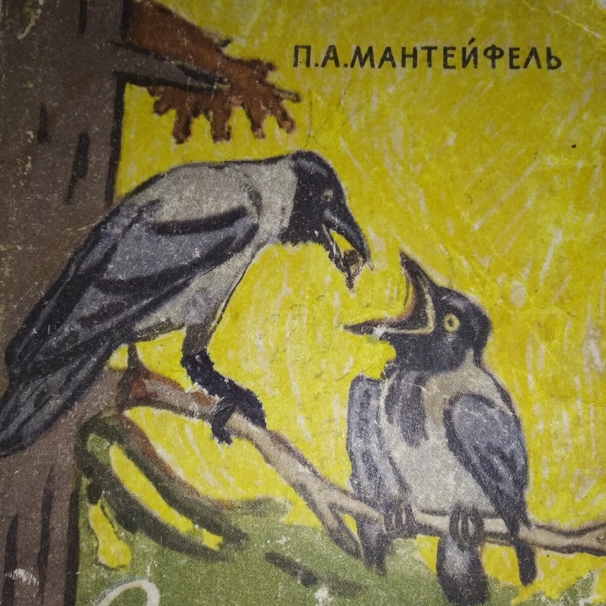 Источник рисунка художники книги и принадлежат авторам.