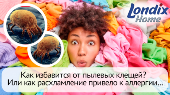 Как избавиться от пылевых клещей?