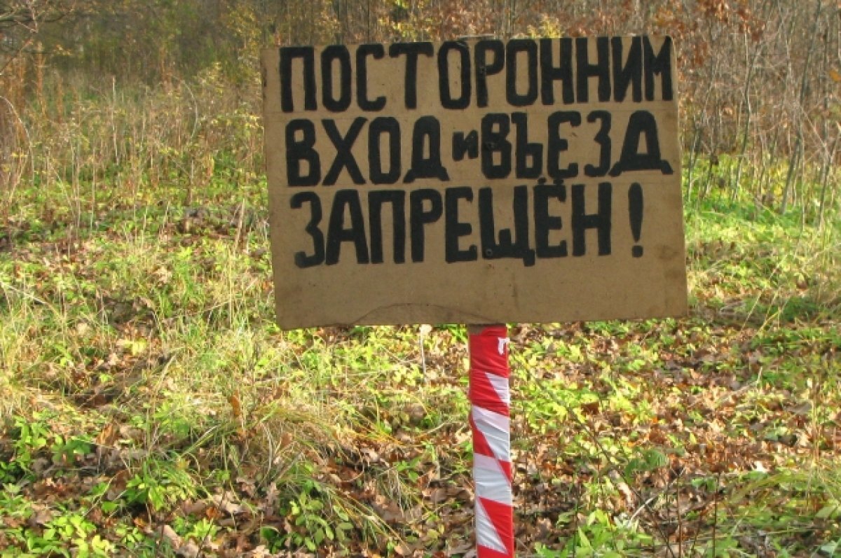    Камышинские «Лоб» и «Уши» окружили природоохранными зонами