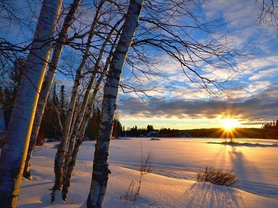     Фото: pixabay.com