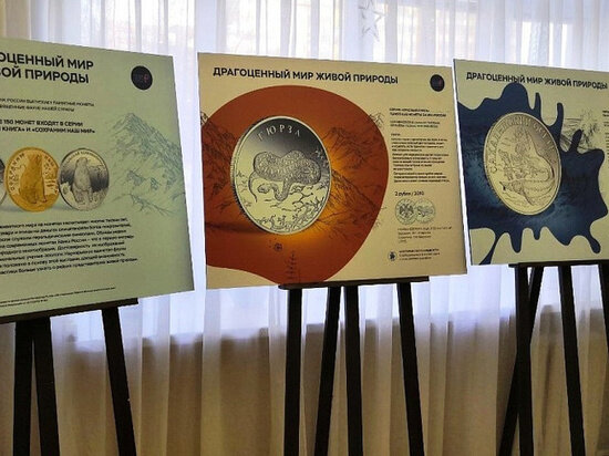     фото Прессы-службы отделения по Архангельской области Северо-Западного главного управления Центрального банка Российской Федерации.