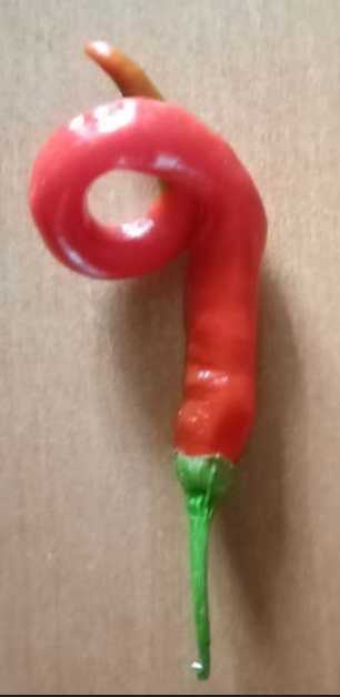 Пламя дракона