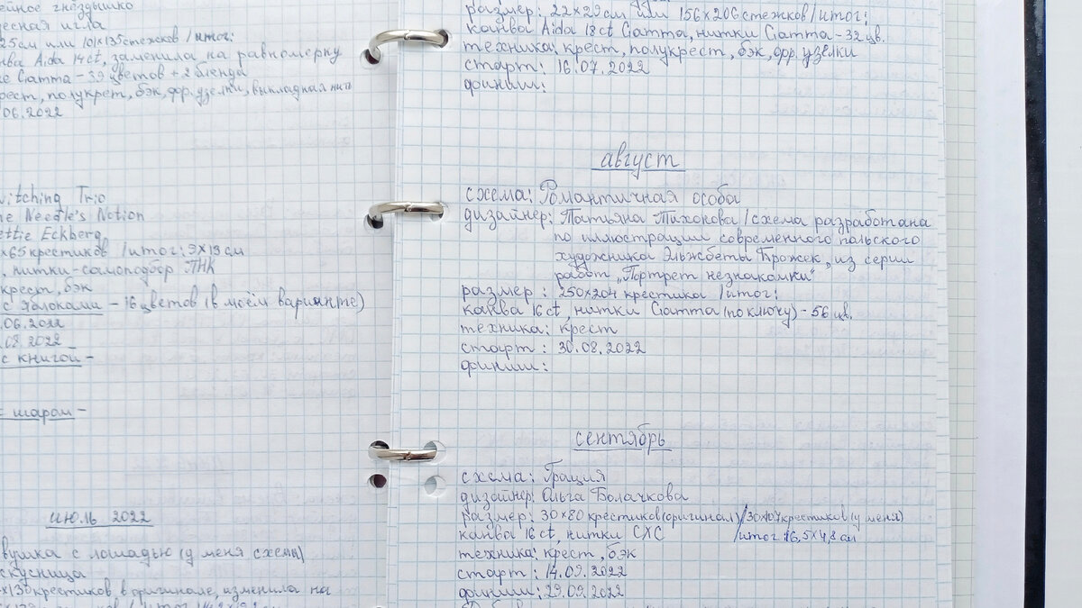 Записи о вышивке в рукодельном дневнике