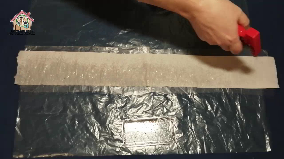 Фото 2. Проращивание семян в туалетной бумаге.