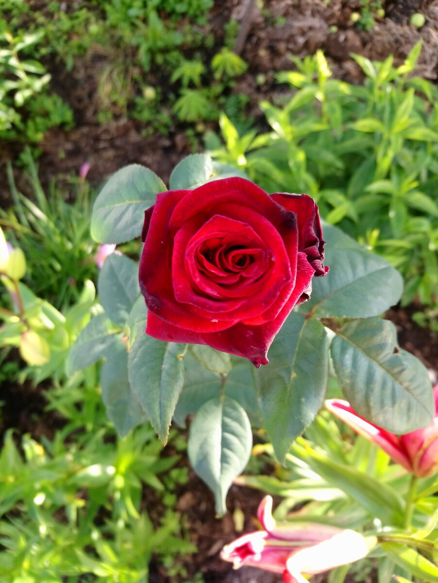 Из личного архива