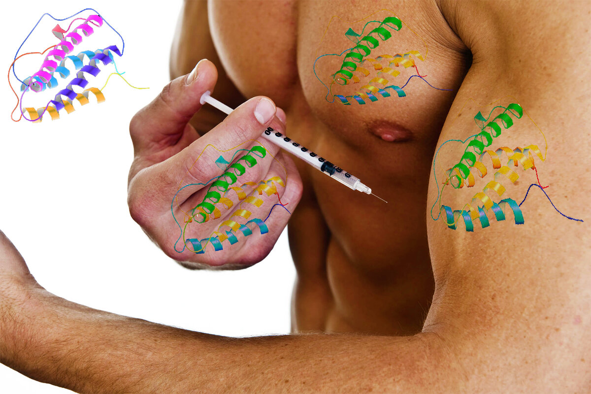 На мышцах у спортсмена изображена структурная формула гликопротеина эритропоэтина