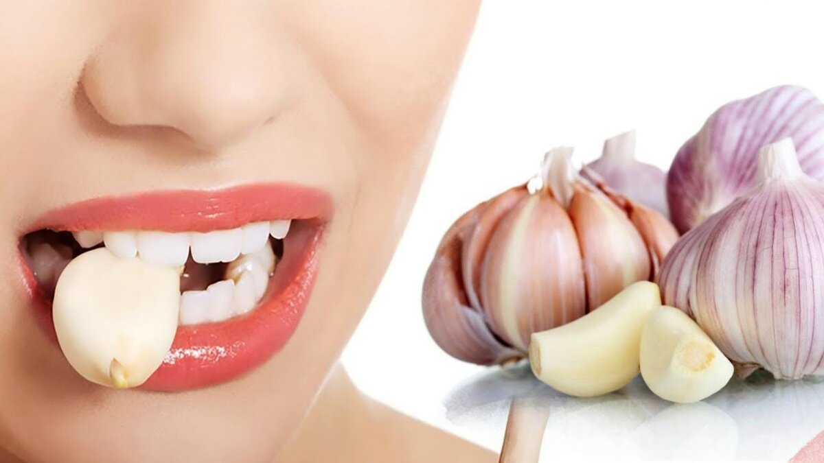 Фото взято из поисковой системы ЯНДЕКС