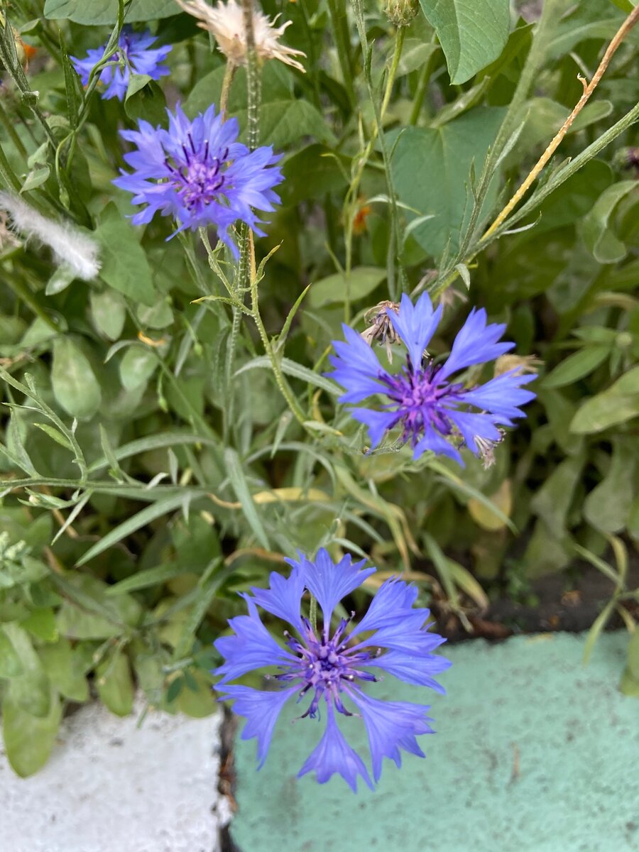 Фото из личного архива