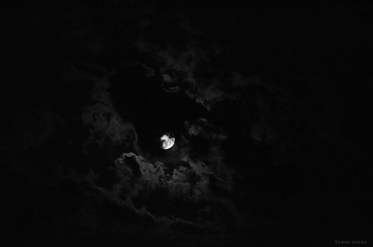 Фотография автора. Ставьте лайки,  делитесь своим мнением :) 