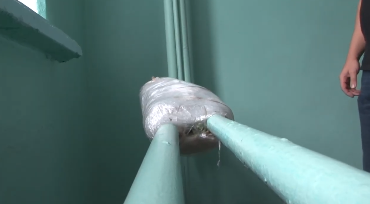 В ОНФ уверены, что ответственность за состояние школы несет директор