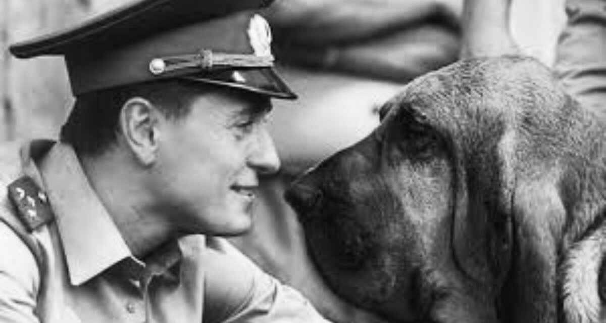 Сергей Безруков в сериале «Участок». Многие критики считают, что образ из этого сериала Сергей Витальевич долго использовал во всех ролях. Согласны?