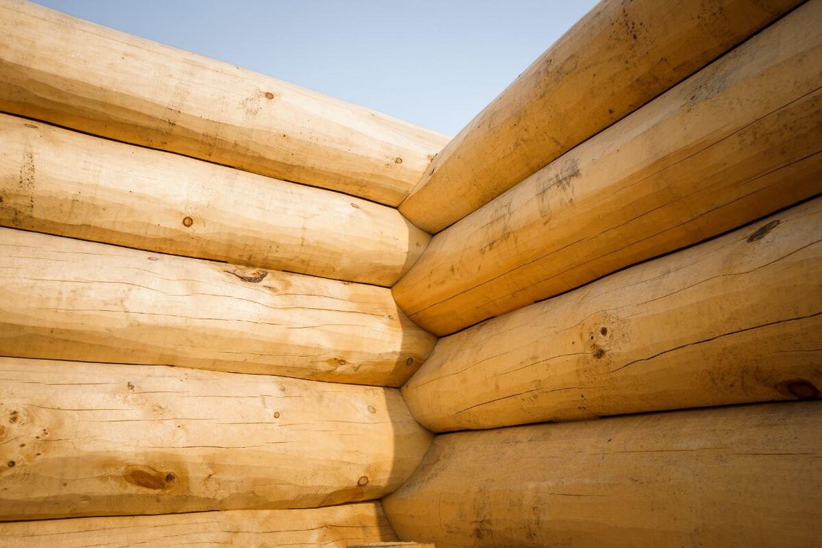 Вид на чашу изнутри