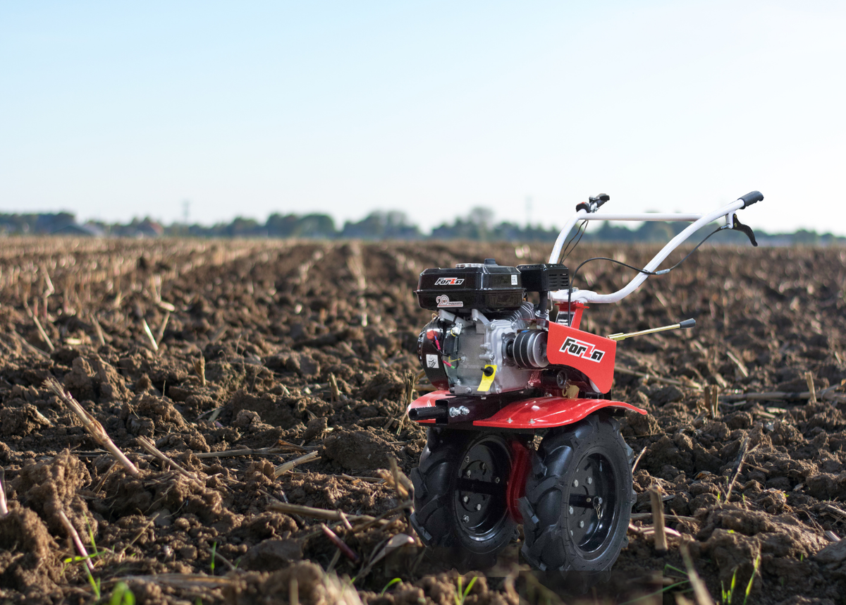 Фото взял с интернета