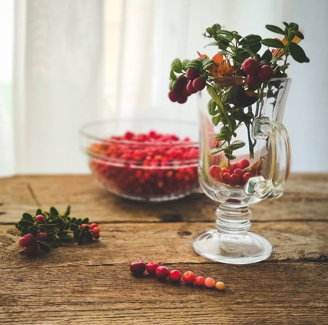 Брусничный натюрморт