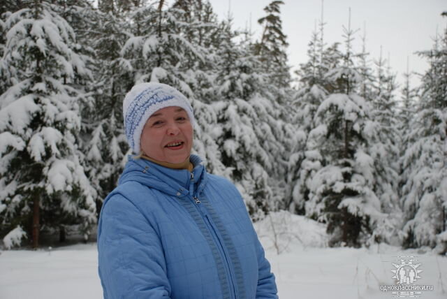 Фото из личного альбома. В заснеженном бердском лесу... Когда я приехала в Бердск, эти ели были мне по колено. Теперь я им по колено! 
