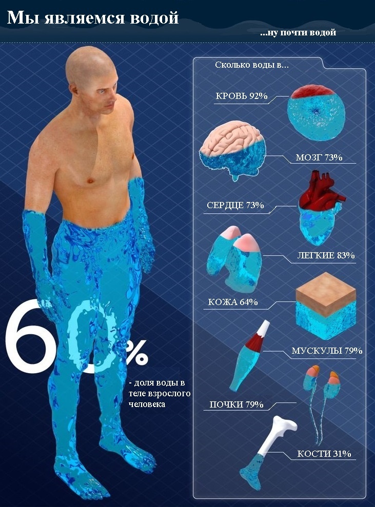 Иллюстрация: сколько воды содержит в организме человека 