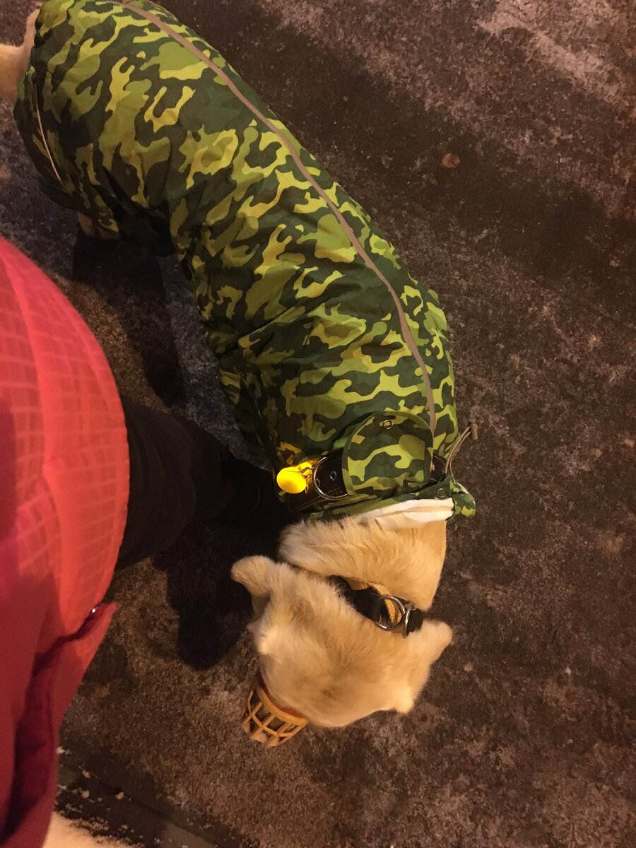 Тут конечно не очень понятно, но выглядело примерно так)