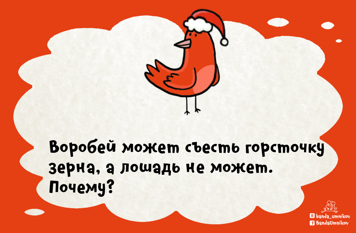 Воробей может съесть горсточку зерна. Воробей может съесть горсточку зерна