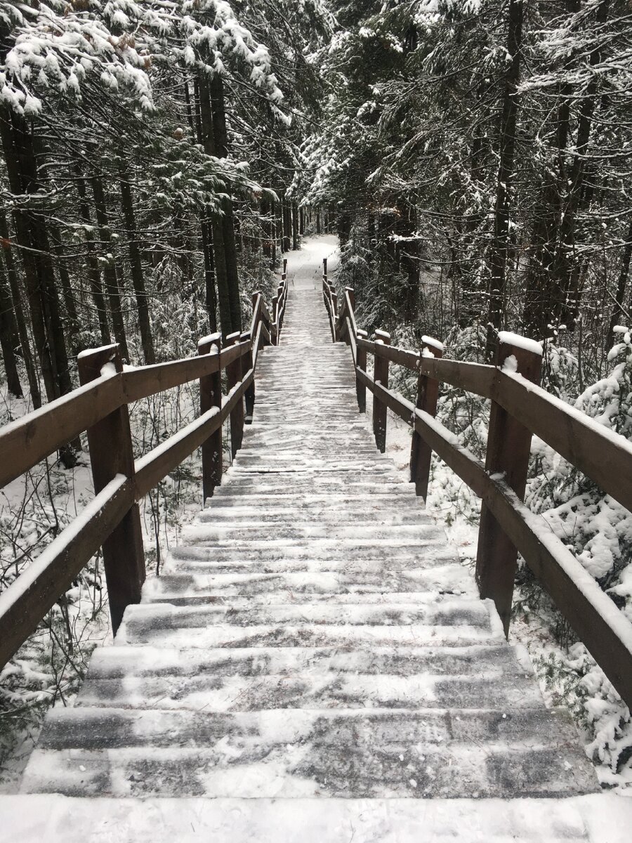 Однажды осень и зима, Никак не сговорились.  И не закончившись одна,
Другую не впустила. 

Вскружила осень красоту,
Все силы приложила,
Свой яркий фейерверк огней,
На город запустила. 

Любовь и нежность подключив,
Романтикой пригрела. 
Теплом окутав город тот,
Дурманом окурила. 

Осенне счастлив был народ, 
Зимы никто не ждал,
И лишь одна девчонка там,
Зиму все поджидала. 

Она молясь смотрела ввысь,
Любила, верила, мечтала,
И снег пошёл, всё серое укрыв,
Оставив прошлые печали.  

Ноя 2020
Яговитина Т.В.  