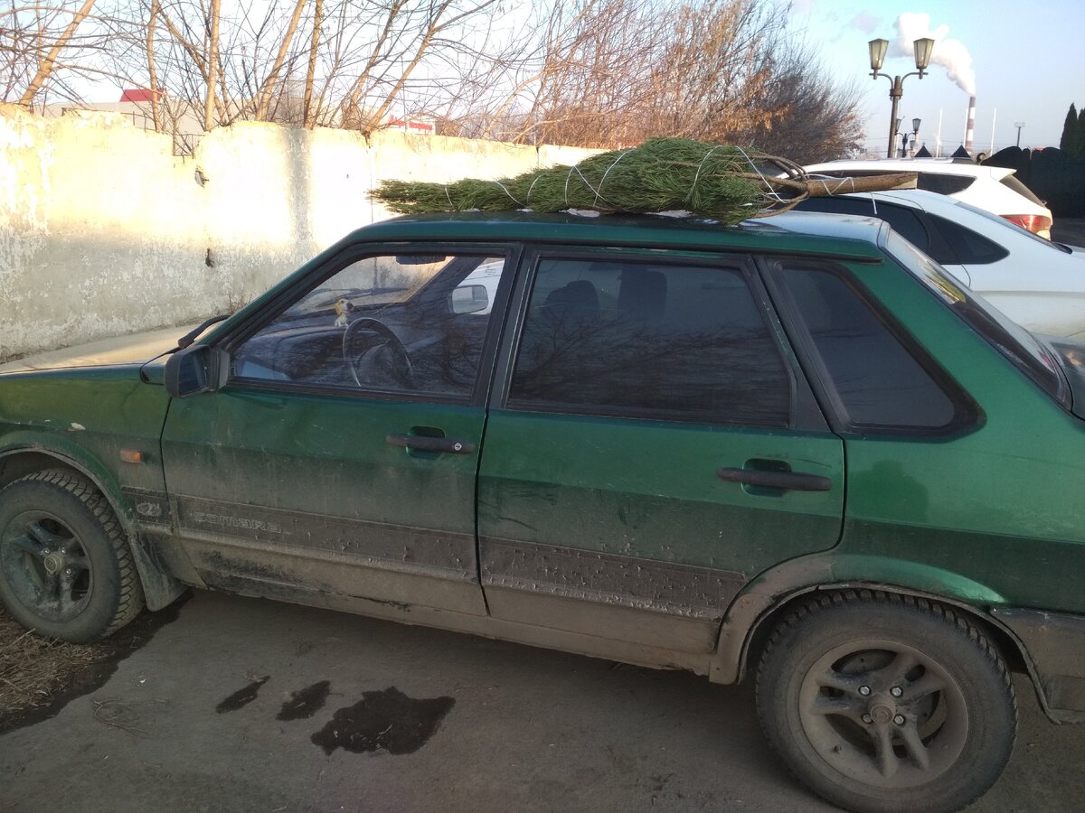 Зеленый Таз, Грязное брюхо. Фото сделано в декабре 2019.