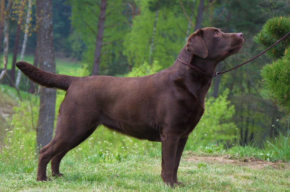 Фото из интернета. У нас не одной четкой фотки не осталось