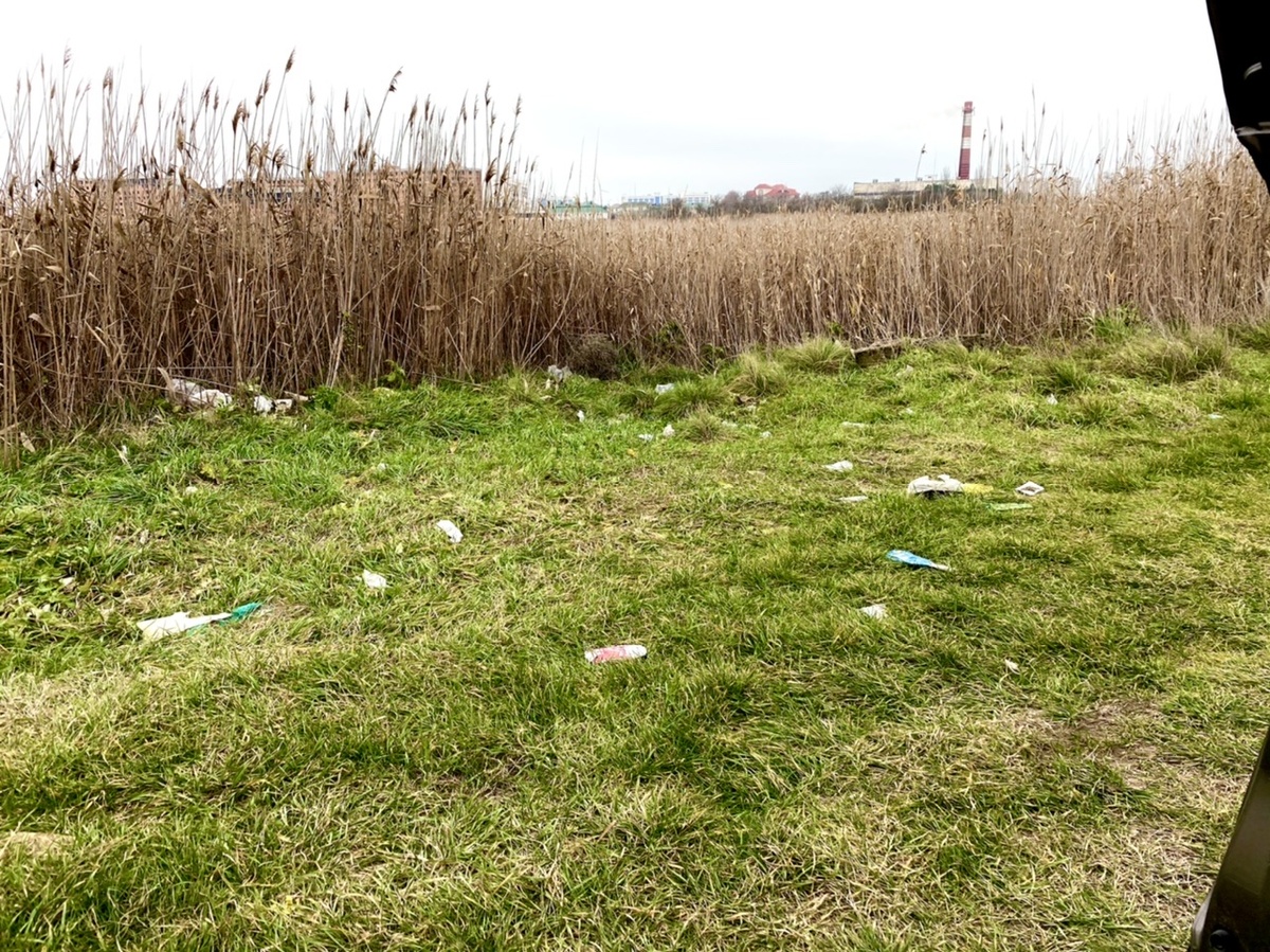 Фото: Дмитрий Марьясов