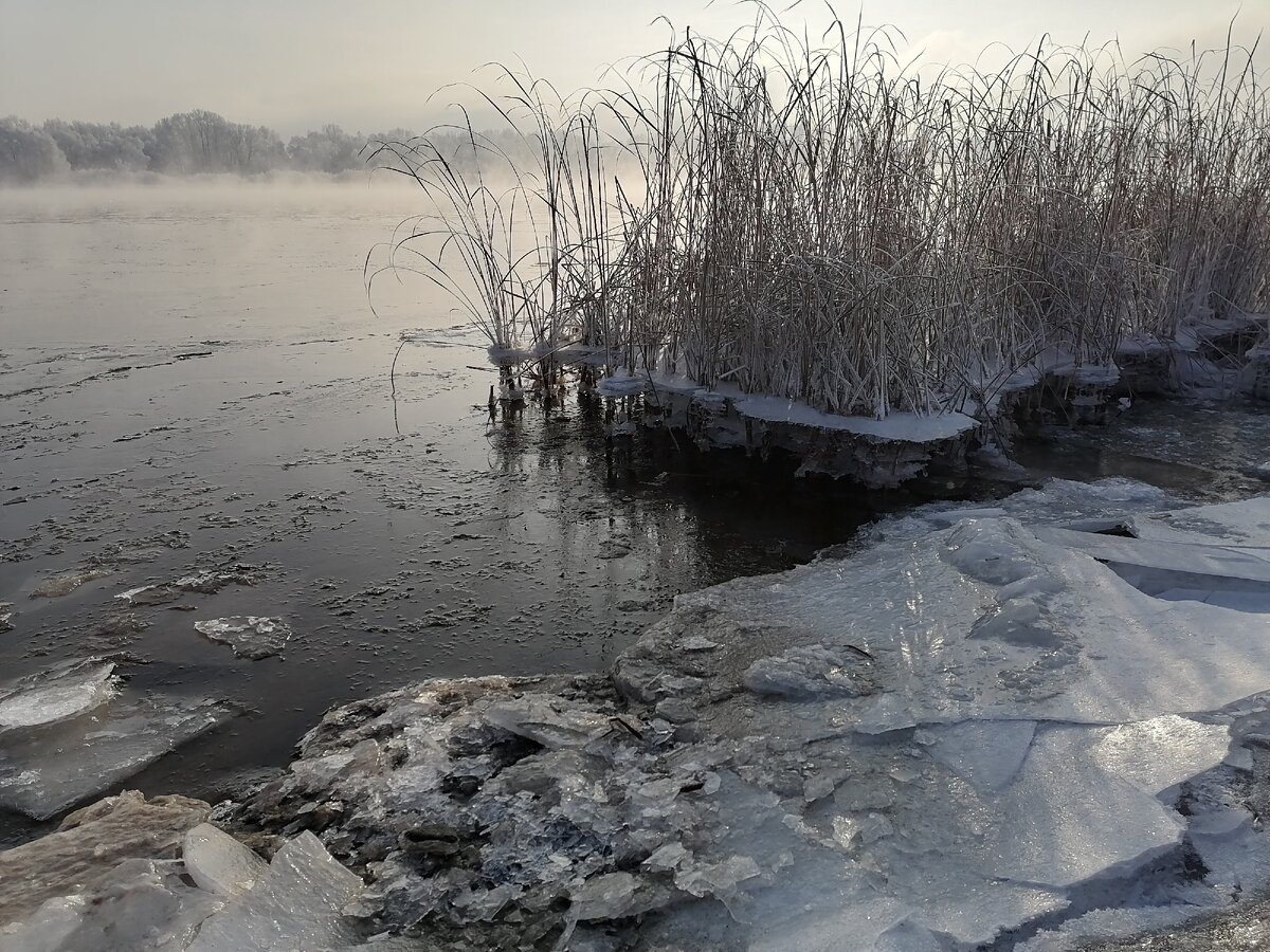 Еще немного времени и лед встанет окончательно.